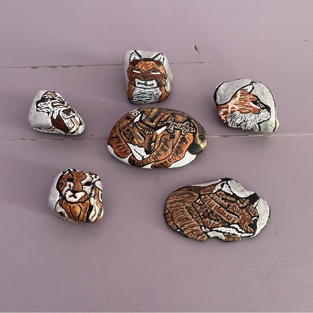 (6) LYNX SHELTER 2 Hand-Painted COLLECTIBLE Custom ROCKS One-Of-A-Kind